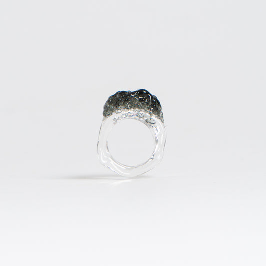 POLARIS RING